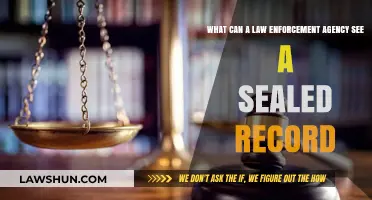 Law Enforcement Access to Sealed Records