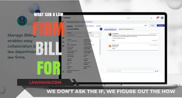 Billing Basics: What Law Firms Can Charge For