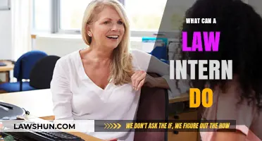 Law Interns: Making a Difference in the Legal Field
