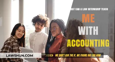 Internship Insights: Law and Accounting Careers