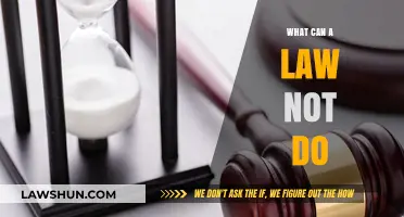Laws' Limitations: What They Can't Do