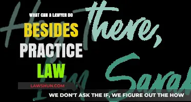 Alternative Careers: Options for Lawyers Beyond Legal Practice