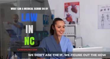 Medical Scribe Duties: North Carolina Law Explained