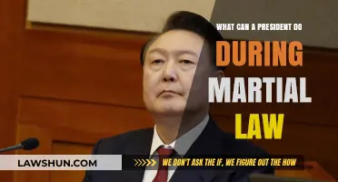 Martial Law: Presidential Powers Explained