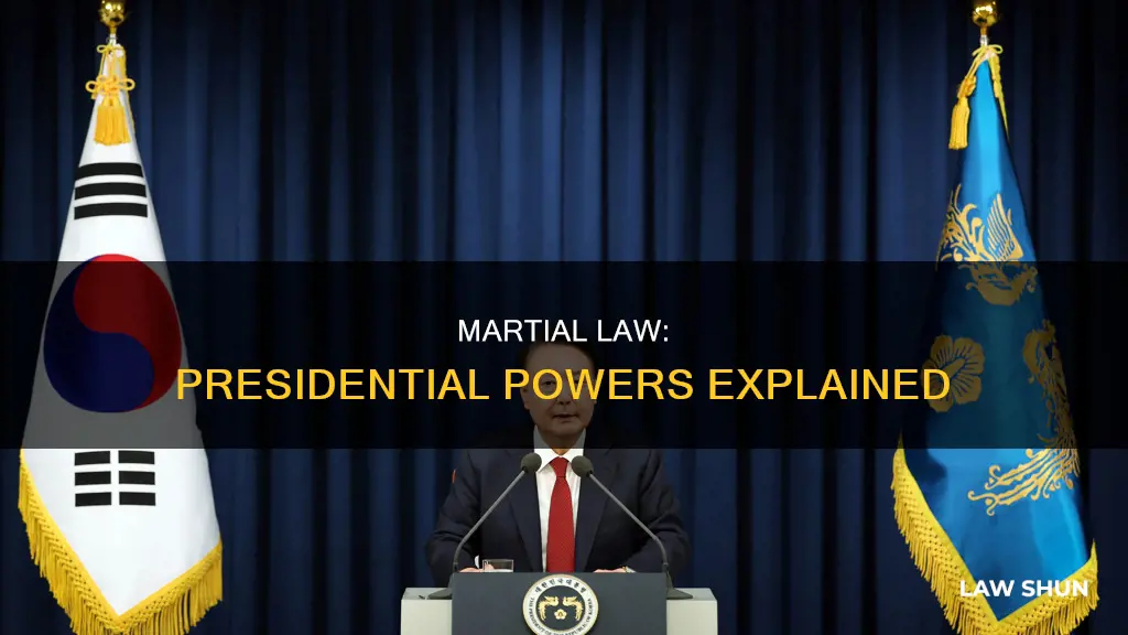 what can a president do during martial law