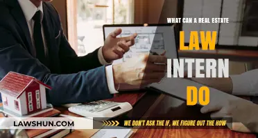 Exploring the Role: Real Estate Law Internship