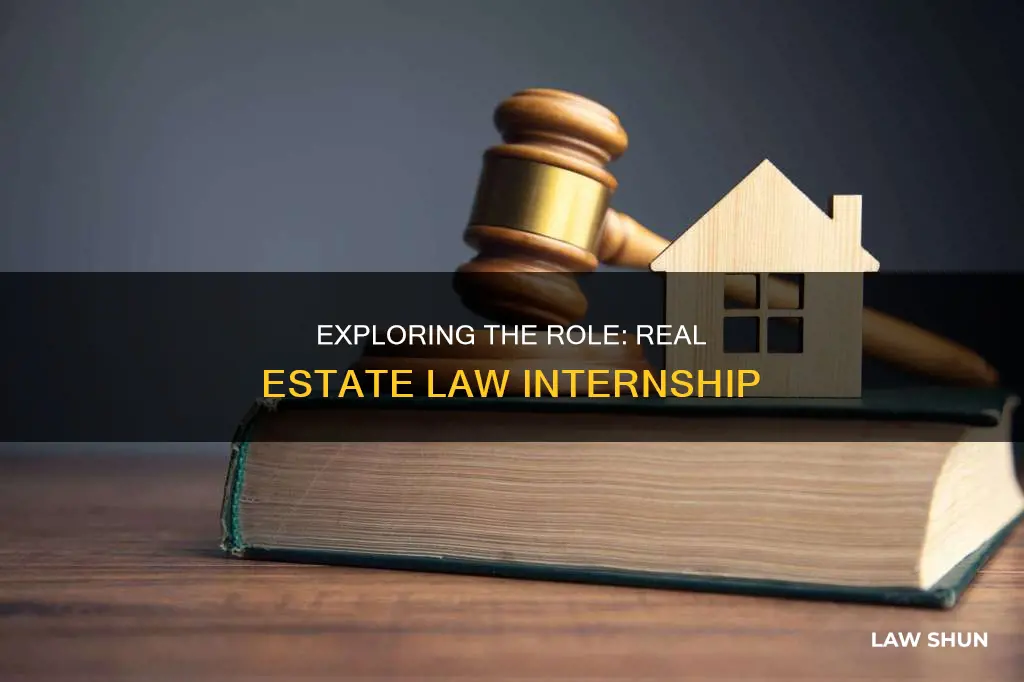 what can a real estate law intern do