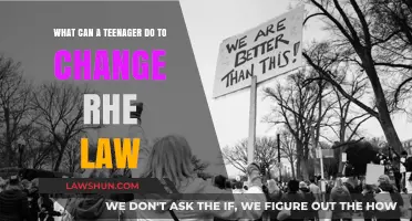 Activism for Teenagers: Changing Laws, Changing Lives