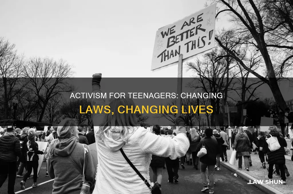 what can a teenager do to change rhe law