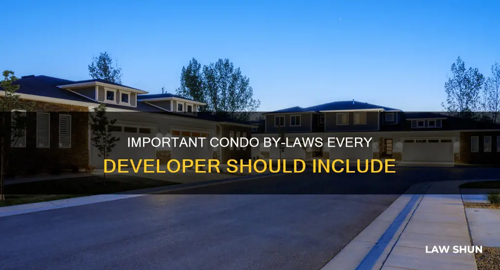 what can adeveloper put in condo by-laws