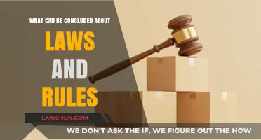 Laws and Rules: What Can We Conclude?