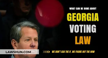 Secure Voting: Georgia's Future at Stake