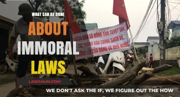 Immoral Laws: What Can Be Done?