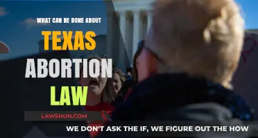 Texas Abortion Law: What Can Be Done?