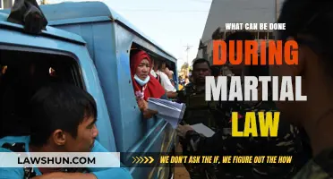 Martial Law: What Are Your Rights?