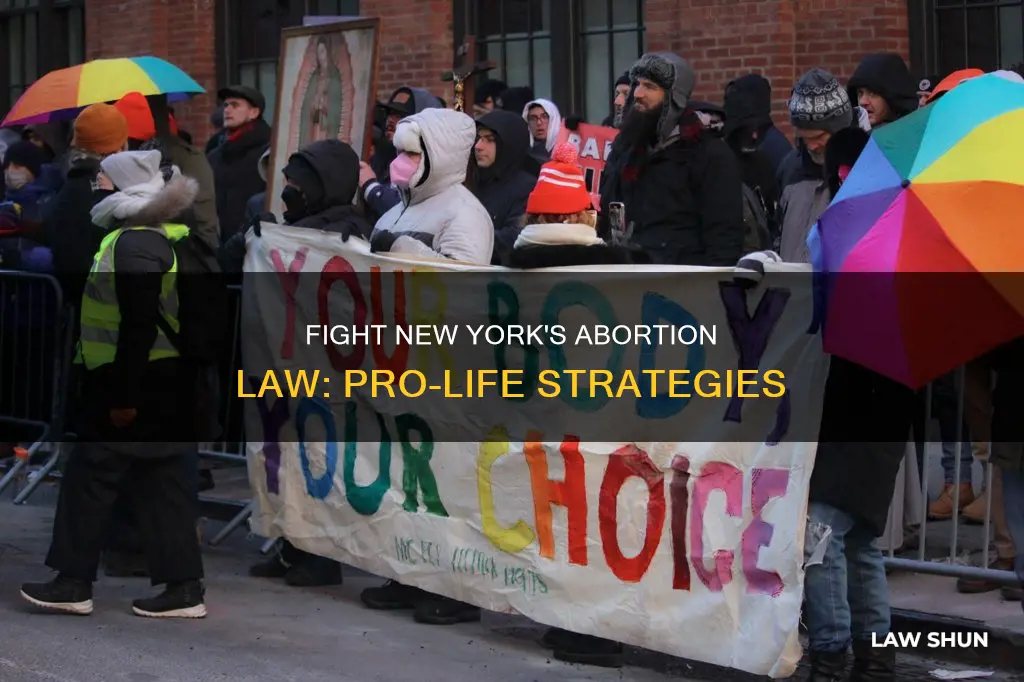 what can be done to fight new york abortion law