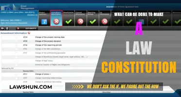 Making Laws Constitutional: Strategies for Success