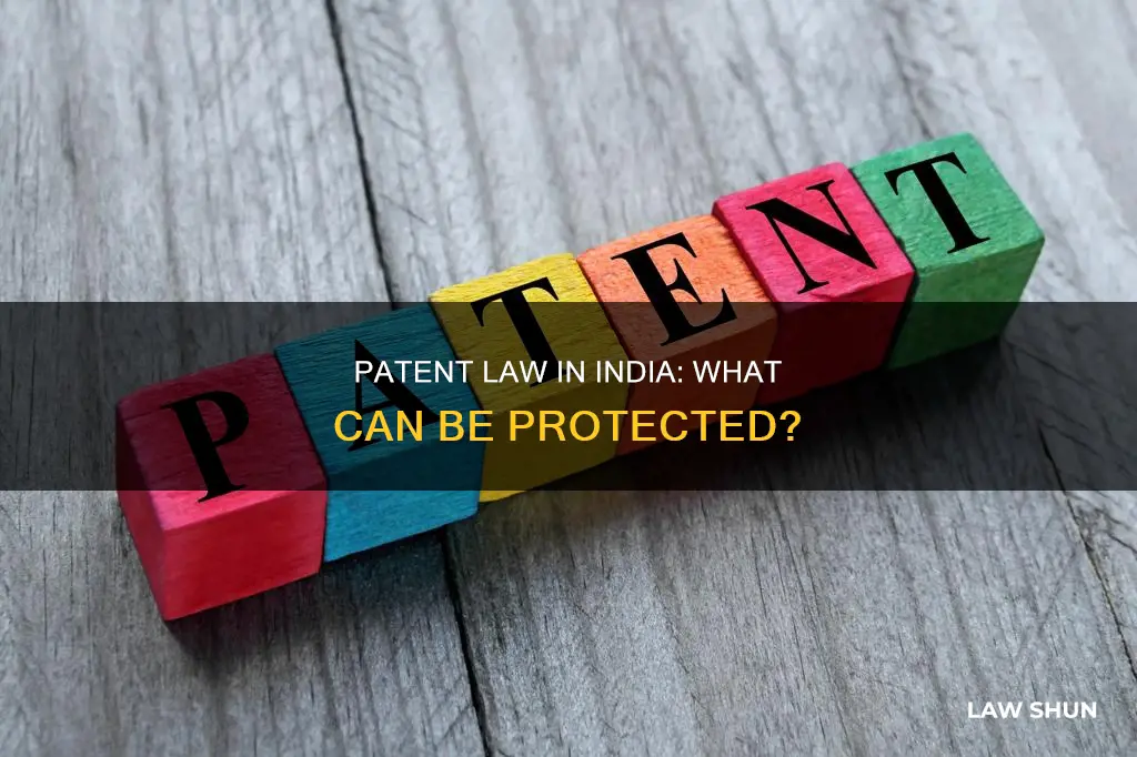what can be patented under the indian law