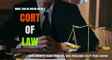 Court Rulings: What Can Be Decided and Enforced?