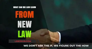 Big Law: Embrace Innovation, Stay Agile
