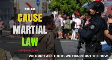 Martial Law: What Triggers a Government's Extreme Response?