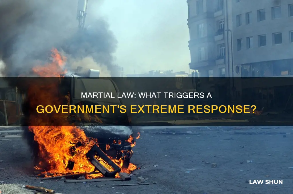 what can cause martial law