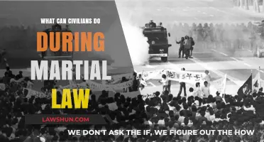 Martial Law: Civilian's Guide to Survival