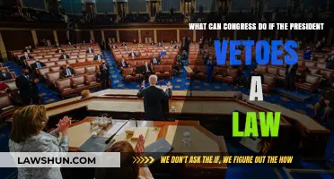 Presidential Veto: Congress' Next Steps