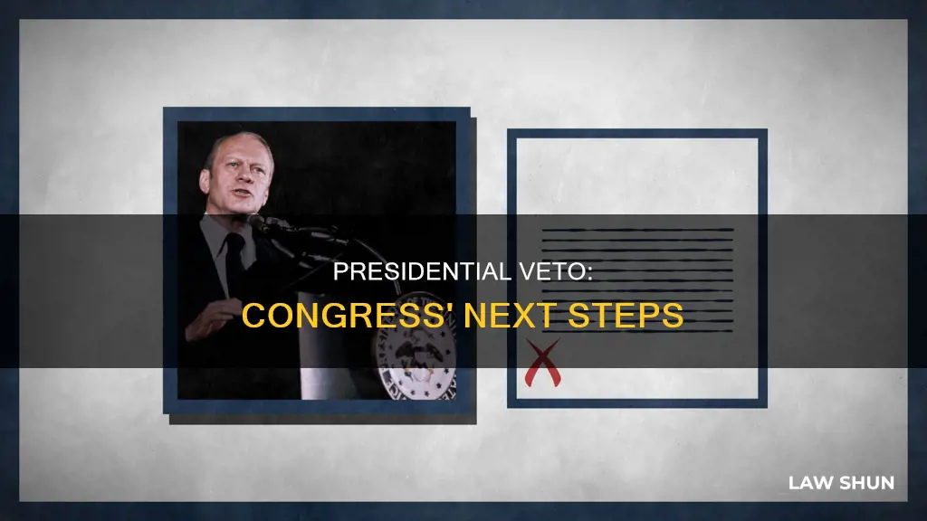 what can congress do if the president vetoes a law