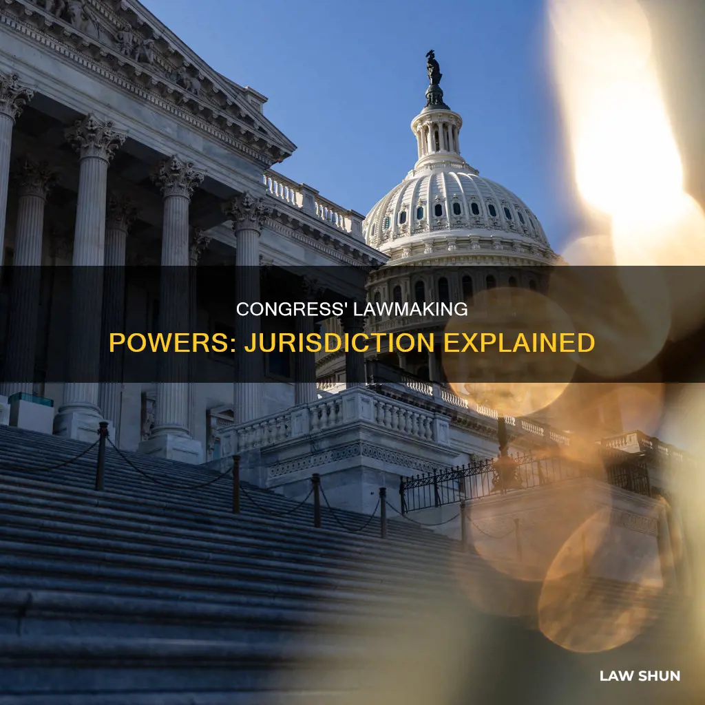 what can congress write laws about