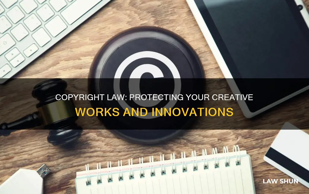what can copyright law do