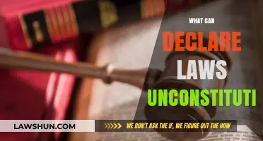 Supreme Court: The Guardian of Our Constitution
