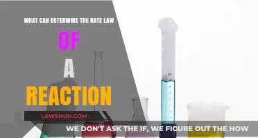 Factors Influencing Reaction Rates: Understanding Rate Laws