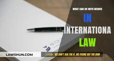 Career Options With an International Law Degree