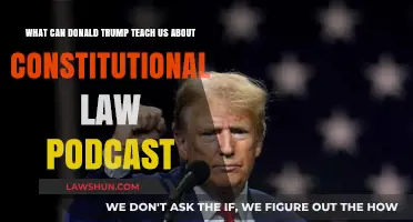 Trump's Constitutional Law Lessons: A Podcast