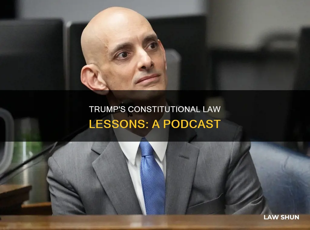what can donald trump teach us about constitutional law podcast