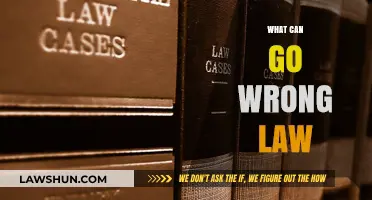 Legal Pitfalls: What Can Go Wrong?