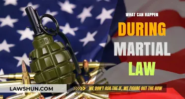 Martial Law: What to Expect and How to Prepare
