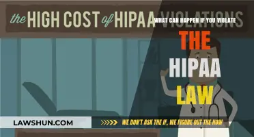 HIPAA Violations: Understanding the Risks and Consequences