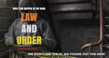 The Dark Side: Law and Order's Secrets