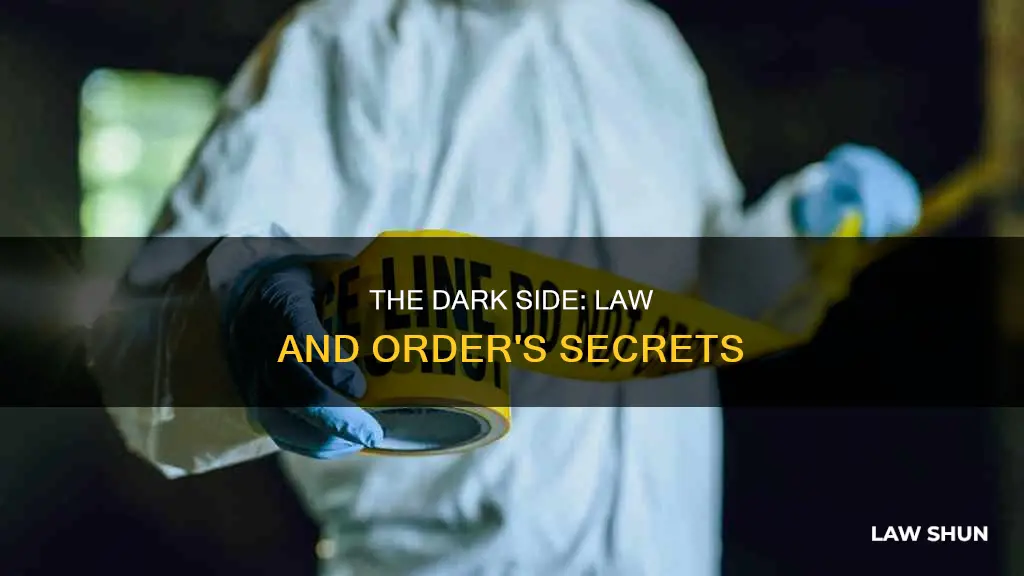 what can happen in the dark law and order