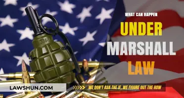 Martial Law: What Could Happen?