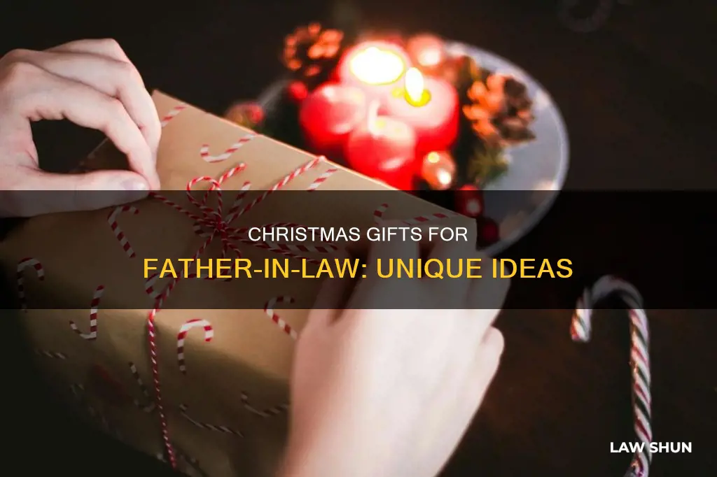 what can i buy my father in law for christmas