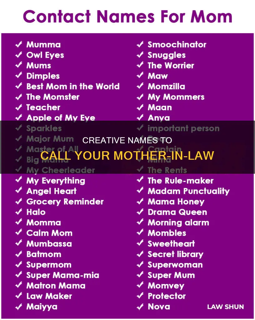 what can i call my mother in law