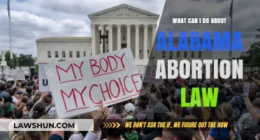 Fight Alabama's Abortion Law: What Can Be Done?