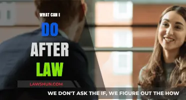 Career Options for Law Graduates: Exploring Diverse Paths