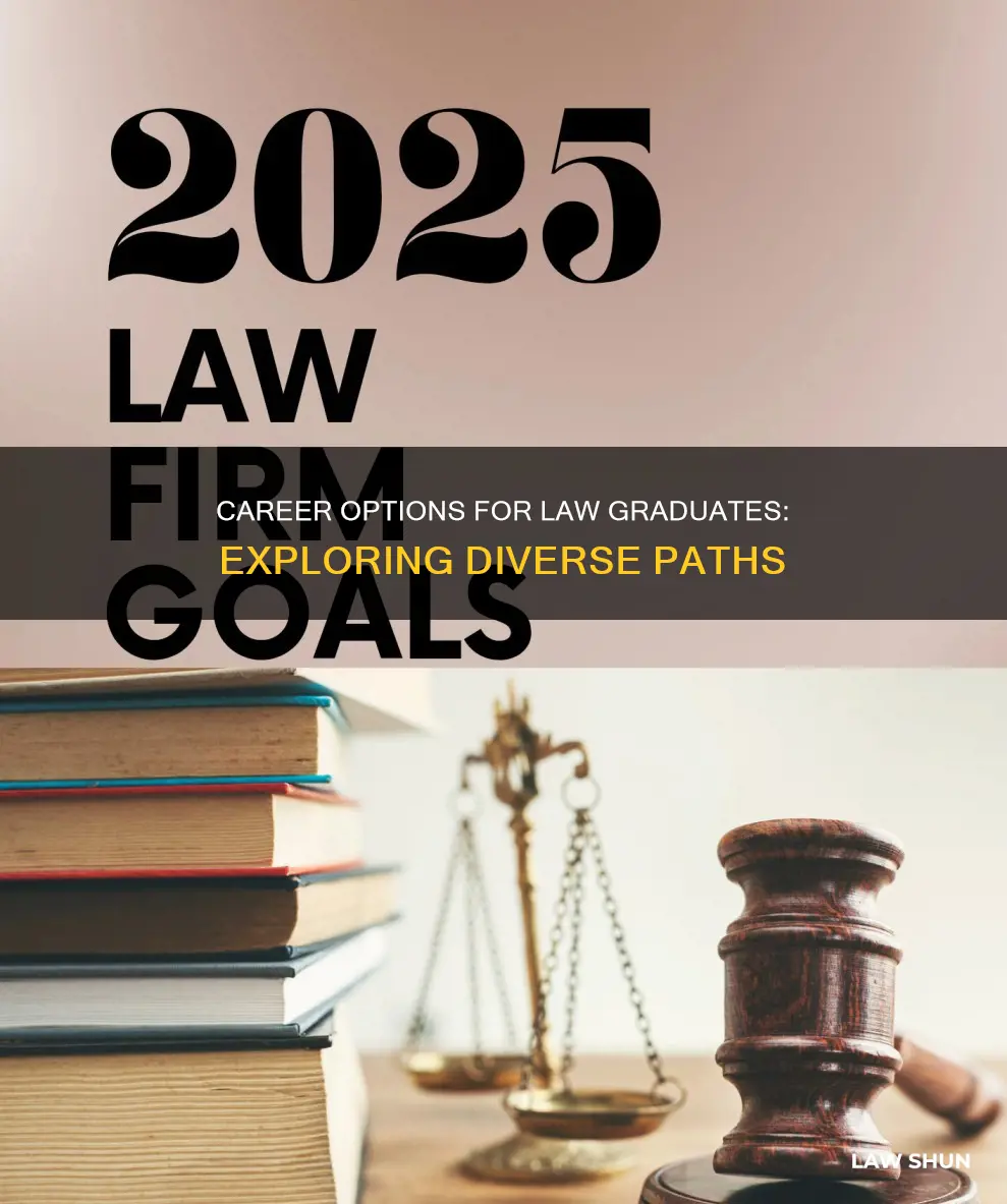what can i do after law