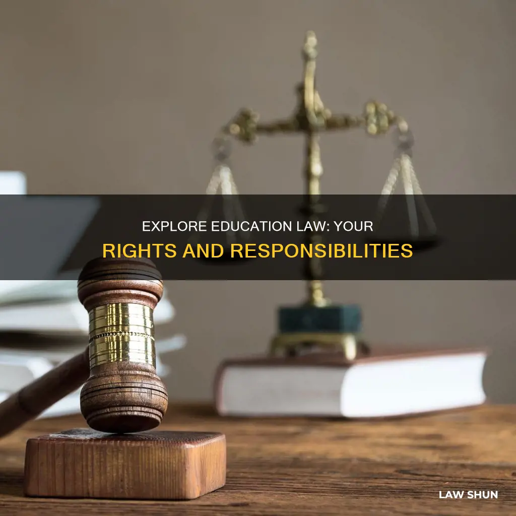 what can i do in education law