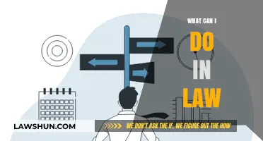 Exploring Legal Career Options: Your Guide to the Law