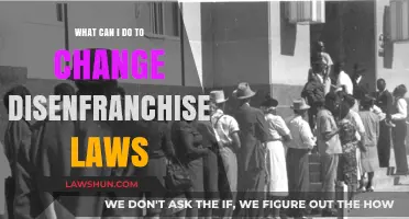 How to Fight Disenfranchisement Laws and Win